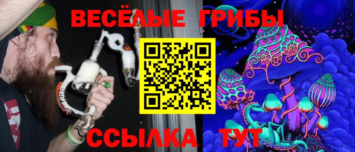 Галлюциногенные грибы Psilocybe Ишим