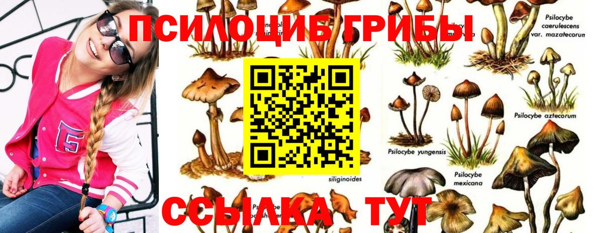 Ишим  Псилоцибиновые грибы ЛСД  Вход с VPN  Галлюциногенные грибы Psilocybe 